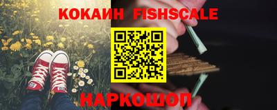 индика Ирбит