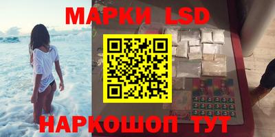 индика Ирбит