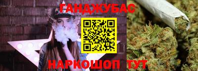 индика Ирбит