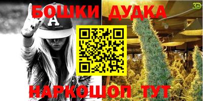 индика Ирбит