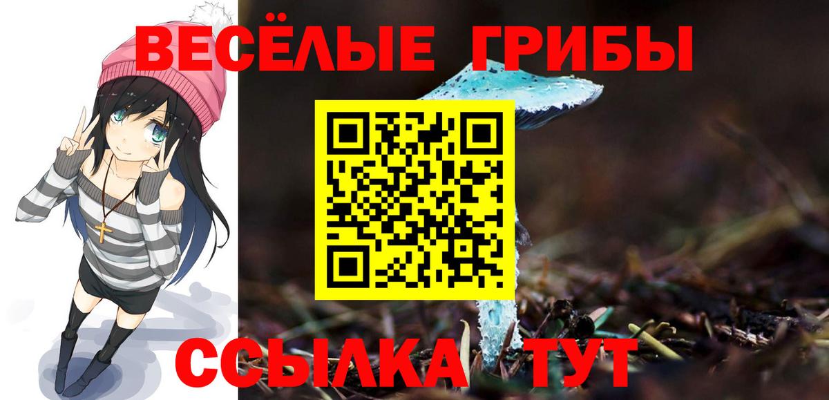 Псилоцибиновые грибы мухоморы  Вход с VPN  Ливны  Галлюциногенные грибы мухоморы 